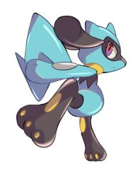  1other animal_hands black_fur blue_fur closed_mouth dot_mouth full_body furry highres looking_at_viewer nose_poke000 pawpads pokemon pokemon_(creature) red_eyes riolu simple_background snout solo standing two-tone_fur white_background 