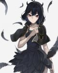  1girl absurdres antenna_hair black_bulls_(emblem) black_capelet black_clover black_dress black_feathers black_hair black_horns bob_cut capelet demon_horns dress feathers highres horns medium_hair prayudi555 red_eyes secre_swallowtail signature solo white_background 