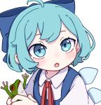  1girl absurdres ahoge animal blue_bow blue_dress blue_eyes blue_hair blush bow cirno collared_shirt dress fairy frog hair_bow highres holding holding_animal ice ice_wings kame_(kamepan44231) looking_at_viewer open_mouth pinafore_dress shirt short_hair short_sleeves simple_background sleeveless sleeveless_dress solo touhou upper_body white_background white_shirt wings 