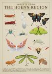  animal_focus beautifly border bug butterfly cascoon cocoon commentary dustox english_text information_sheet julio_lacerda label larva masquerain nincada ninjask no_humans poke_ball_symbol pokemon realistic shedinja silcoon surskit trapinch vibrava wurmple 