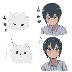  1girl :&lt; :/ absurdres akts625 androgynous angry annoyed aqua_eyes arrow_(symbol) black_dress black_hair blush closed_mouth collared_shirt commentary cropped_arms cropped_torso dot_mouth dress english_commentary fluffy_white_puppy_expressions_(meme) hair_between_eyes highres kino_(kino_no_tabi) kino_no_tabi looking_at_viewer meme notice_lines pout raised_eyebrows scribble shirt short_hair solo_focus tomboy v-shaped_eyebrows very_short_hair white_background white_dog white_shirt 