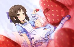  1girl alice_(alice_in_wonderland) alice_(alice_in_wonderland)_(cosplay) apron blue_bow blue_bowtie blue_dress blue_footwear blush bow bowtie brown_eyes brown_hair commentary_request cosplay dress food fruit hair_bow hand_up highres holding holding_food holding_fruit idolmaster idolmaster_cinderella_girls idolmaster_cinderella_girls_u149 long_hair looking_at_viewer mini_person minigirl parted_lips puffy_short_sleeves puffy_sleeves ribbon short_sleeves sitting solo strawberry striped striped_thighhighs surisuririsu tachibana_arisu thigh-highs white_apron wrist_cuffs yellow_ribbon yokozuwari zettai_ryouiki 