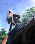  1girl absurdres animal black_hair black_jacket blue_archive blue_pants blush car cat closed_mouth day demon_wings grey_hair grey_halo hair_between_eyes halo highres jacket kayoko_(blue_archive) long_hair long_sleeves ly_7317 motor_vehicle open_clothes open_jacket outdoors pants red_eyes single_wing solo tree wings 