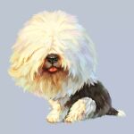  animal_focus artist_request black_fur blue_background dog_tail hair_over_eyes no_humans non-web_source old_english_sheepdog original sitting source_request tail third-party_source tongue tongue_out two-tone_fur white_fur 