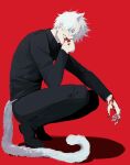  1boy animal_ears black_footwear black_jacket black_pants blood blood_on_face blood_on_hands blue_eyes cat_boy cat_ears cat_tail full_body gojou_satoru hand_up highres jacket jujutsu_kaisen lauresent long_sleeves looking_at_viewer male_focus pants red_background shoes short_hair simple_background solo squatting tail white_hair 