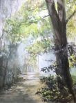  day forest highres nature no_humans original outdoors painting_(medium) scenery shadow sunlight tlctm7h8wdwnthx traditional_media tree tree_shade watercolor_(medium) 