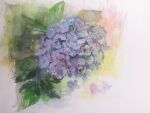  branch flower highres hydrangea leaf no_humans original painting_(medium) purple_flower realistic shadow still_life sunlight tlctm7h8wdwnthx traditional_media watercolor_(medium) 