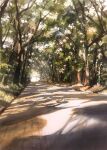  day forest highres nature no_humans original outdoors painting_(medium) road scenery shadow sunlight tlctm7h8wdwnthx traditional_media tree tree_shade watercolor_(medium) 
