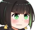  1girl allmind_(armored_core_6) armored_core armored_core_6 black_hair black_jacket blush chibi earrings green_eyes green_hair grey_shirt highres i.u.y jacket jewelry multicolored_hair parted_lips personification portrait shirt simple_background solo two-tone_hair white_background 