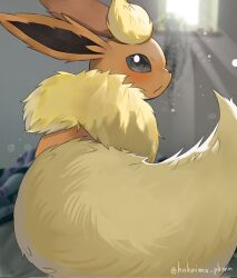 animal_focus blush closed_mouth flareon fluffy full_body highres hokaimo_pkmn indoors no_humans pokemon pokemon_(creature) pokemon_focus solo sunlight tail window 