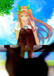  1girl animal_ears black_cat black_pantyhose blunt_bangs blurry casual cat depth_of_field ear_covers green_eyes hairband highres hime_cut horse_ears horse_girl horse_tail long_hair orange_hair orange_tail pantyhose shirt short_sleeves silence_suzuka_(umamusume) sitting tail umamusume white_hairband white_shirt yrouumkinnoaw 