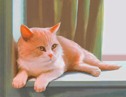  animal animal_focus cat curtains full_body highres indoors lying no_humans original qingli_ye windowsill 