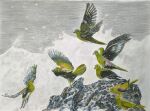  above_clouds animal bird clouds colored_pencil_(medium) highres mountain nakanaori31 no_humans original realistic signature snowing storm traditional_media white-bellied_green_pigeon 