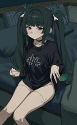  1girl dark_green_hair long_hair qingyi_(zenless_zone_zero) twintails zenless_zone_zero 