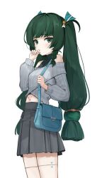  1girl alternate_costume dark_green_hair long_hair qingyi_(zenless_zone_zero) twintails zenless_zone_zero 