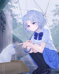  1girl absurdres animal ayatsuno_yuni black_shoes black_socks blue_bow blue_bowtie blue_skirt bow bowtie box buttons cardboard_box cat closed_mouth collared_shirt day full_body grey_hair highres holding holding_umbrella kneehighs looking_at_animal outdoors outstretched_hand pleated_skirt rain raised_inner_eyebrows school_uniform shirt shirt_tucked_in shoes short_hair short_sleeves skirt smile socks solo squatting star-shaped_pupils star_(symbol) stellive symbol-shaped_pupils transparent transparent_umbrella umbrella unicorn_horn violet_eyes virtual_youtuber white_cat white_shirt wing_collar yioro 