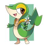  :d brown_eyes commentary flower full_body green_background happy highres holding holding_flower no_humans open_mouth pokemon pokemon_(creature) rei_(esprei96) smile snivy solo standing tongue white_flower 