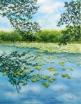  artist_name bush day highres lake naoy_watercolor no_humans original painting_(medium) plant scenery signature traditional_media tree water_lily_flower watercolor_(medium) 