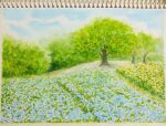  blue_flower blue_sky field flower flower_field forest highres naoy_watercolor nature no_humans original painting_(medium) plant sky traditional_media tree watercolor_(medium) yellow_flower 