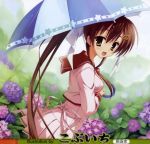  flower hydrangea kobuichi looking_back open_mouth ponytail rain sailor_dress school_uniform smile solo tenshinranman umbrella yamabuki_aoi yellow_eyes 