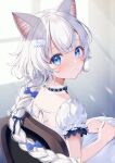  1girl :&lt; animal_ear_fluff animal_ears blue_bow blue_eyes blush bow braid cat_ears cat_girl chair collar dress hair_ornament hands_on_lap looking_at_viewer looking_back momoshiki_tsubaki on_chair original polka_dot polka_dot_bow puffy_sleeves single_braid white_bow white_dress white_hair window 