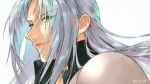  1boy 3wa_tari armor blurry depth_of_field final_fantasy final_fantasy_vii green_eyes grey_hair high_collar light_smile long_hair male_focus pauldrons sephiroth shoulder_armor simple_background slit_pupils smile solo white_background 