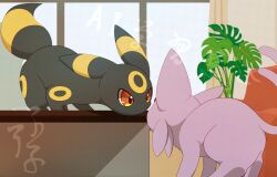  animal_focus black_fur colored_sclera couch curtains espeon forehead_jewel forked_tail gem highres hirochanu0807 indoors looking_at_another no_humans plant pokemon pokemon_(creature) pokemon_focus potted_plant purple_fur red_eyes red_gemstone red_sclera tail umbreon window 