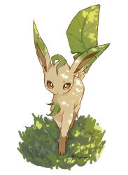  absurdres all_fours brown_eyes closed_mouth commentary_request full_body grass green_tail highres leaf leaf_tail leafeon looking_at_viewer no_humans oinyanyari plant_tail pokemon pokemon_(creature) pokemon_focus solo twitter_username white_background yellow_fur 