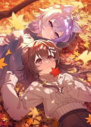  2girls :3 absurdres ahoge animal_ear_fluff animal_ears autumn autumn_leaves blush bone_hair_ornament bow braid branch brown_eyes brown_hair cat_ears cat_girl cat_tail crossed_bangs dog_ears dog_girl eyelashes hair_between_eyes hair_ornament highres holding holding_leaf hololive inugami_korone krn_udn leaf looking_at_another lying multiple_girls nekomata_okayu purple_hair sweater tail turtleneck turtleneck_sweater violet_eyes virtual_youtuber yellow_bow 
