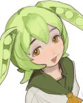  1girl ascot brown_eyes green_hair mossacannibalis open_mouth pea_pod portrait shirt short_hair simple_background solo triangle_mouth voicevox white_background white_shirt yellow_ascot zundamon 