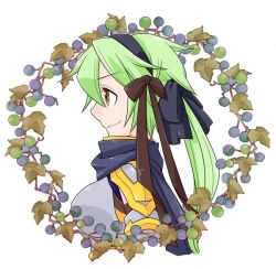  1girl armor black_hairband black_scarf blueberry boobplate bow brown_bow brown_eyes closed_mouth commentary_request food fruit green_hair hair_bow hairband long_hair looking_afar oekakipikki pauldrons profile ragnarok_online rune_knight_(ragnarok_online) scarf shoulder_armor smile solo upper_body white_background wreath 