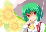  1girl flower green_hair kazami_yuuka red_eyes short_hair solo touhou umbrella yakumo_nanahara 