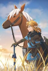  1boy belt black_cape black_gloves blonde_hair blue_eyes blue_sky blue_tunic brown_belt cape champion's_tunic_(zelda) closed_mouth commentary_request cowboy_shot epona fingerless_gloves from_side gloves grass grey_pants hand_on_hilt highres horse layered_sleeves link long_sleeves male_focus master_sword maya_(mayamayammy) outdoors pants pointy_ears ponytail short_over_long_sleeves short_ponytail short_sleeves sky smile standing the_legend_of_zelda the_legend_of_zelda:_tears_of_the_kingdom tunic 