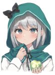  1girl apple black_bow blue_eyes bow expressionless food fruit green_apple green_hood hood hood_up konpaku_youmu long_sleeves looking_at_viewer sakuramochi_usa shirt solo touhou white_background white_hair white_shirt 