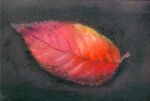  amima_amita autumn_leaves black_background highres leaf no_humans original painting_(medium) pastel_(medium) realistic still_life traditional_media 