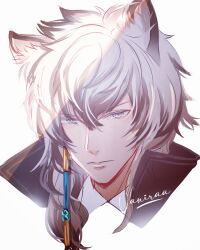  1boy arknights artist_name black_streaks closed_mouth commentary cropped_head grey_eyes grey_hair hair_between_eyes high_collar highres looking_at_viewer male_focus multicolored_hair short_hair silverash_(arknights) simple_background snow_leopard_boy snow_leopard_ears solo streaked_hair vaniraaa white_background 