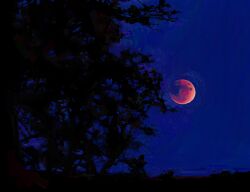  blue_sky clear_sky dark highres moon nature night no_humans original outdoors red_moon scenery silhouette sky tree twulfs 