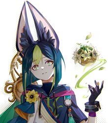  1boy animal_ear_fluff animal_ears black_gloves black_hair black_shirt blue_hair blunt_ends bomb bright_pupils brown_eyes cape commentary_request drawstring earrings explosive eyelashes flower fox_ears genshin_impact gloves gradient_hair green_cape green_eyes green_hair hair_between_eyes hand_up head_tilt highres hood hood_down hoodie jewelry leaf looking_at_viewer male_focus medal multicolored_clothes multicolored_eyes multicolored_hair parted_lips shirt short_hair short_sleeves simple_background single_earring solo streaked_hair tanako_(645316096) tassel tighnari_(genshin_impact) turtleneck white_background white_pupils wrist_cuffs yellow_flower 