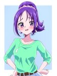  1girl blush commentary_request earrings eyelashes futari_wa_precure_splash_star green_shirt hair_ornament hands_on_own_hips highres jewelry kibou_no_chikara_~otona_precure_&#039;23~ long_hair looking_at_viewer mishou_mai ponytail precure purple_hair s-operator shirt solo standing violet_eyes 