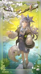  1girl ahoge animal_charm animal_ears animal_print bandaid bandaid_on_knee bandaid_on_leg bird black_jacket black_shoes blue_bow blue_collar blue_hairband blue_overalls border bow branch buttons center_frills charm_(object) chinese_commentary collar commentary_request copyright_name falling_petals floral_border flower frilled_collar frilled_jacket frilled_sleeves frills full_body grey_hair grey_socks hair_ornament hairband highres jacket leaf lily_pad long_hair long_sleeves looking_up mismatched_pupils no._21:_feral_(tiny_bad_wolf)_(pgr) no._21_(pgr) official_alternate_costume official_art on_rock open_clothes open_hands open_jacket ornate_border outdoors overall_shorts overalls parted_lips petals punishing:_gray_raven rabbit_charm rabbit_print rock shirt shoes short-sleeved_jacket short_sleeves socks solo standing star-shaped_pupils star_(symbol) symbol-shaped_pupils tail two_side_up violet_eyes water white_flower white_petals white_shirt wolf_ears wolf_girl wolf_tail x_hair_ornament 