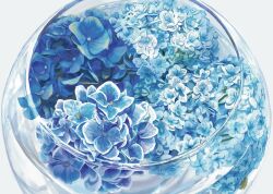  blue_flower fishbowl flower flower_focus no_humans original plant plant_focus simple_background sunoji08 white_background 