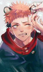  1boy 1other animal_ears black_hair black_jacket commentary_request fang hand_on_another's_ear highres hood hooded_jacket itadori_yuuji jacket jujutsu_kaisen light_blush male_focus multicolored_hair one_eye_closed pink_hair red_hood shy solo_focus teeth tiger_boy tiger_ears two-tone_hair undercut whitetown yellow_eyes 