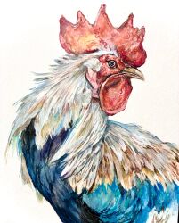  animal animal_focus bird chicken commentary_request highres no_humans original painting_(medium) rooster simple_background takahashi_shion traditional_media watercolor_(medium) white_background 