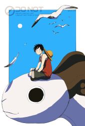  1boy bird black_hair blue_sky border closed_mouth falling_feathers feathers from_side full_body fur-trimmed_shorts fur_trim going_merry hat highres indian_style looking_up male_focus monkey_d._luffy one_piece outdoors outside_border pirate_ship red_vest scar scar_on_cheek scar_on_face short_hair shorts silver_mssk sitting sky smile solo straw_hat unworn_hat unworn_headwear vest white_bird white_border 