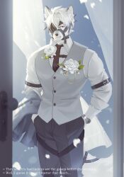  1boy alternate_costume animal_ear_fluff animal_ears bicep_strap black_necktie black_pants body_fur boutonniere closed_mouth colored_tips commentary cowboy_shot english_commentary english_text flower furry furry_male grey_vest hand_in_pocket highres looking_at_viewer male_focus multicolored_hair muzzle_(mask) necktie octo_poosi pants red_eyes shirt short_hair solo tail tail_belt vest von_lycaon watch watch white_flower white_fur white_hair white_shirt wolf_boy wolf_ears wolf_tail zenless_zone_zero 