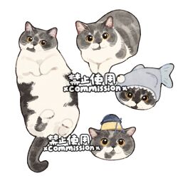  animal animal_focus animal_hat artist_name cat cropped_head fish_hat hat looking_at_viewer lying multiple_views no_humans on_back orange_eyes original simple_background whiskers white_background xiao_bo_kuai_kuai 