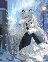  1girl absurdres animal_ear_fluff arknights aurora bare_tree black_dress blue_sky braid bright_pupils building changpan_hutao chinese_commentary closed_eyes commentary_request dress english_commentary feet_out_of_frame frown grey_eyes grey_hair highres lamppost layered_skirt long_hair looking_to_the_side mixed-language_commentary outdoors palms_together pinafore_dress pramanix_(arknights) ribbed_sweater skirt sky sleeveless sleeveless_dress snow snow_leopard_ears snow_leopard_girl snow_leopard_tail solo sweater tree very_long_hair white_pupils white_skirt 