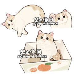  animal animal_focus animal_hands box brown_eyes cat commission fluffy food fruit full_body in_box in_container looking_at_viewer lying mihuashi_commission multiple_views no_humans orange_(fruit) orange_slice original simple_background sitting watermark white_background xiao_bo_kuai_kuai 