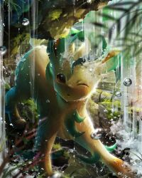  8686island animal_focus brown_eyes brown_fur brown_sclera colored_sclera commentary_request green_fur leaf leafeon looking_at_viewer no_humans one_eye_closed parted_lips pokemon pokemon_(creature) pokemon_focus water yellow_fur 