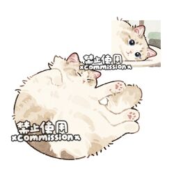  animal animal_focus animal_hands blue_eyes cat closed_eyes commission fluffy looking_at_viewer lying mihuashi_commission multiple_views no_humans original simple_background watermark whiskers white_background xiao_bo_kuai_kuai 